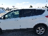 1FMCU9GX3EU****** Salvage and Repairable 2014 Ford Escape in Idaho State