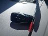 1FA6P8TH9F5****** Salvage 2015 Ford Mustang in California State