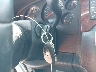 1GNEC23379R****** Salvage 2009 Chevrolet Tahoe in North Carolina State