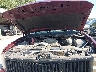 1GCEK29079Z****** Repairable 2009 Chevrolet Silverado 1500 in Kansas City