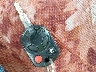1FMCU0D70BK****** Salvamento 2011 Ford Escape en Estado de Maine