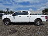 1FTFW1EF3GF****** Reparables 2016 Ford F-150 en Estado de Nueva Jersey