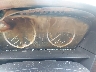 WBANF33577C****** Salvage 2007 BMW 5 Series in Sayreville