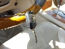 JTHBA30G755****** Salvamento 2005 Lexus ES en Estado de Pennsylvania