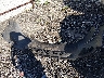 5TDZK23C18S****** Wrecked 2008 Toyota Sienna in Arkansas State