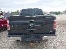 1FTFW1EV0AF****** Destrozados 2010 Ford F-150