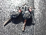1FMCU0G7XGU****** Salvage 2016 Ford Escape in Pennsylvania State