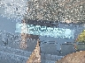 1N4AL3APXGC****** Destrozados 2016 Nissan Altima en Estado de Nueva York