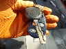 JT6HT00W0Y0****** Salvamento 2000 Lexus LX en Estado de Pennsylvania