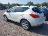 JN8AZ18W49W****** Salvamento y Reparables 2009 Nissan Murano en Culpeper