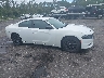2C3CDXBG1KH****** Usados 2019 Dodge Charger en Estado de Florida