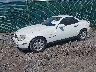 WDBKK47FXWF****** Usados y Reparables 1998 Mercedes-Benz SLK-Class en Louisville North