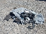 1GTU9FED5LZ****** Salvage and Repairable 2020 GMC Sierra 1500 in High Desert