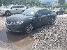 1HGCR2F57EA****** Usados y Reparables 2014 Honda Accord en Orlando