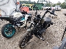 1HD4LE21XMB****** Usados y Reparables 2021 Harley-Davidson Xl883 en Tidewater