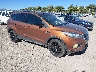 1FMCU9GD4HU****** Salvamento y Destrozados 2017 Ford Escape en Billings