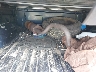 1FTDF15Y3SN****** Wrecked 1995 Ford F-150 in Orlando