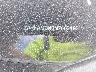 ZARFAMBN3N7****** Usados 2022 Alfa Romeo Giulia en Dallas