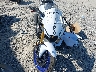 MH3RH25E5TK****** Usados y Reparables 2026 Yamaha Yfz320 en Estado de Carolina del Norte