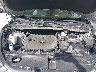 KM8JTCAF7FU****** Repairable 2015 Hyundai Tucson in Tampa