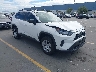 2T3H1RFV0LW****** Salvage and Wrecked 2020 Toyota RAV4 in Fremont