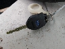 4S3BNBC66F3****** Salvamento 2015 Subaru Legacy en Estado de Iowa