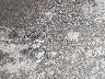 1C4RJFAG7HC****** Salvage and Repairable 2017 Jeep Grand Cherokee in Michigan State