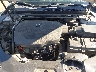 19UUB2F50FA****** Repairable 2015 Acura TLX in San Diego