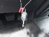 1FTFW1EF9EF****** Salvamento 2014 Ford F-150 en Estado de Virginia