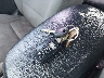 5NPDH4AE5GH****** Salvamento 2016 Hyundai Elantra en Estado de Florida