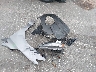 3N1AB7AP3KL****** Wrecked 2019 Nissan Sentra in Florida State