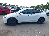 7SAYGDEE0RF****** Salvage 2024 Tesla Model Y
