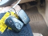 JTHBJ46G692****** Salvage 2009 Lexus ES in Maryland State