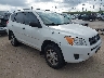 2T3BF33V59W****** Salvamento y Destrozados 2009 Toyota RAV4 en San Antonio South