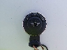 WMWSV3C56CT****** Salvage 2012 MINI Hardtop in South Carolina State