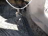 2T1BR18E5WC****** Salvage 1998 Toyota Corolla in Maryland State