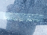 5NPE24AF0HH****** Usados 2017 Hyundai Sonata