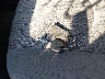 2T3JF4DV4CW****** Salvamento 2012 Toyota RAV4 en Estado de Nueva York