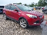 1FMCU0J96DU****** Salvamento y Destrozados 2013 Ford Escape en Appleton