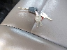 1FD0X5HT9HE****** Repairable 2017 Ford F-550 Chassis in Long Island