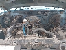 1FTDF15E0BL****** Repairable 1981 Ford F-150 in Orlando