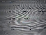 5YJSA1E21GF****** Repairable 2016 Tesla Model S in Texas State