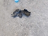 3VWRF71K06M****** Wrecked 2006 Volkswagen Jetta in Missouri State