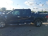 1FTFW3L88SK****** Salvage 2025 Ford F-150