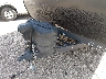 573TT3729N8****** Reparables 2022 Grand Design Recreational Transcend en Tucson