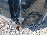 1G6DC5EYXB0****** Repairable 2011 Cadillac CTS in Ohio State
