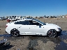 WAUC4CF59PA****** Reparables 2023 Audi S5 en Estado de California