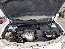 4T1BE46K97U****** Repairable 2007 Toyota Camry in Springfield