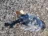 5UXKR2C50J0****** Wrecked 2018 BMW X5 in New Jersey State