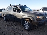 2HJYK16556H****** Salvage and Wrecked 2006 Honda Ridgeline in Phoenix